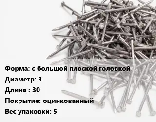 Гвоздь с большой плоской головкой 3х30 оцинкованный 5
